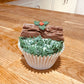 Christmas Cupcakes